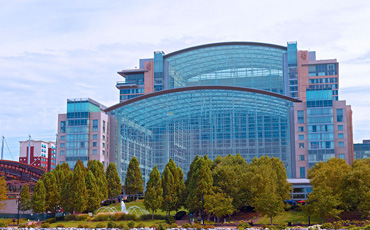 stoelting conference 2026